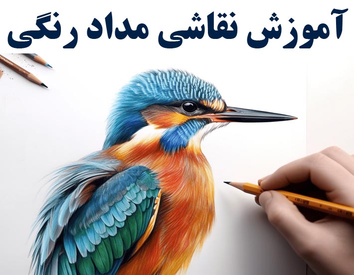 آموزش نقاشی مداد رنگی ( با ارائه مدرک بین المللی )
