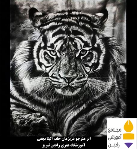 اثر هنرجو عزیز خانم الینا نجفی