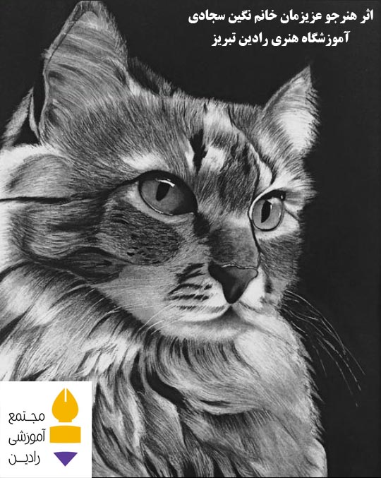 اثرهنرجو عزیزمان خانم نگین سجادی