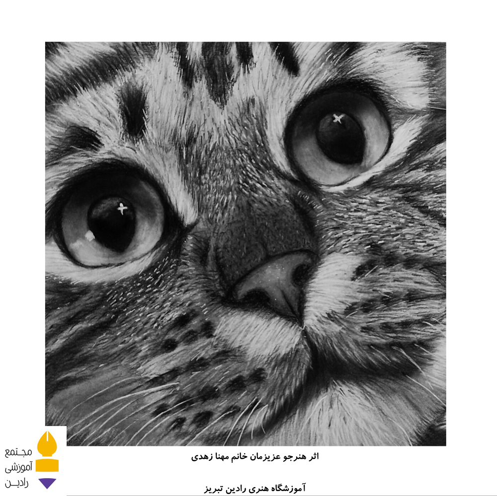 اثر هنرجو عزیز خانم مهنا زهدی