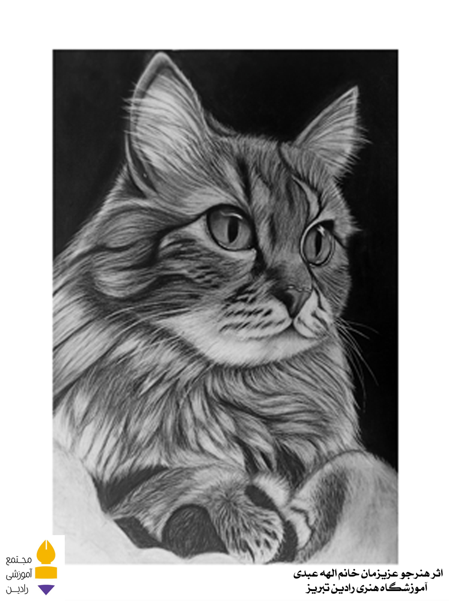 اثر هنرجو عزیز خانم الهه عبدی