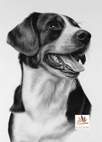 اثر هنرجوی عزیزمان خانم فاطمه اسماعیلی