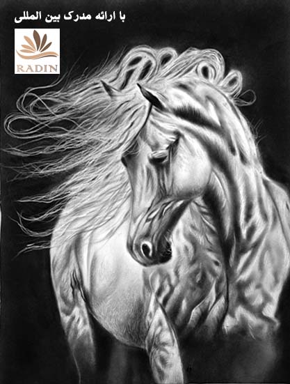 اثر هنرجوی عزیز خانم سارا قربانزاده